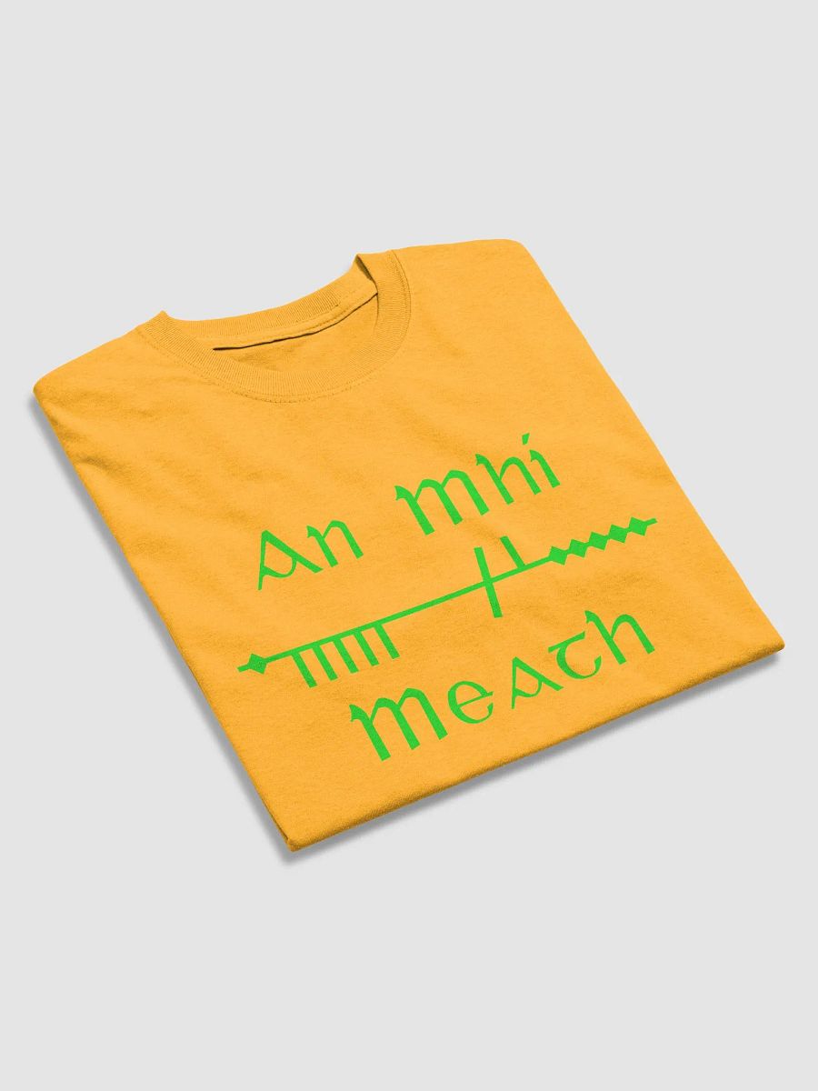Meath/An MhÍ Scholastic style Ogham gold printed T-shirt product image (4)