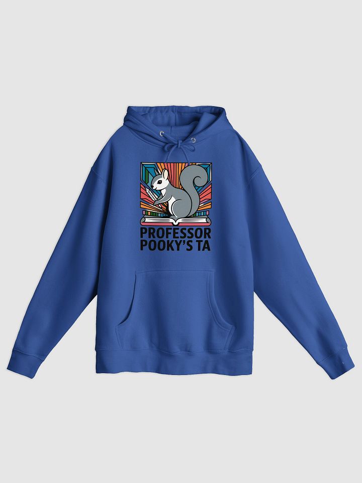 Premium, super soft Hoodie, Prpofessor Pooky'd Teacher's Assistant (TA) product image (1)