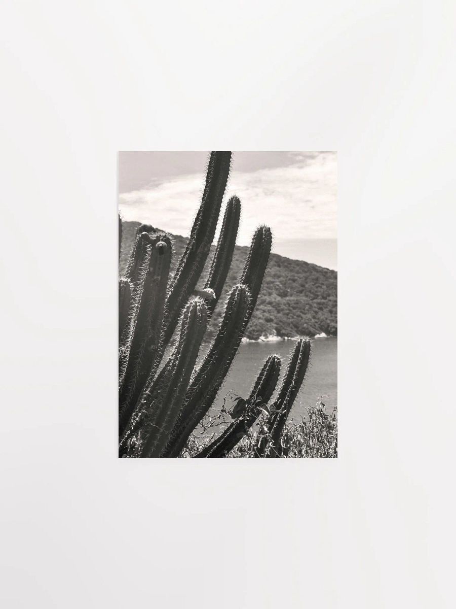Mexico Lindo - Enhanced Matte Paper Poster product image (1)