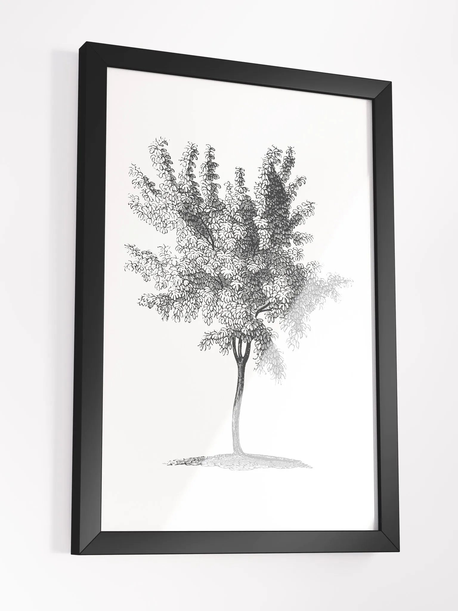 Woodland Trees #2 Framed Print product image (5)