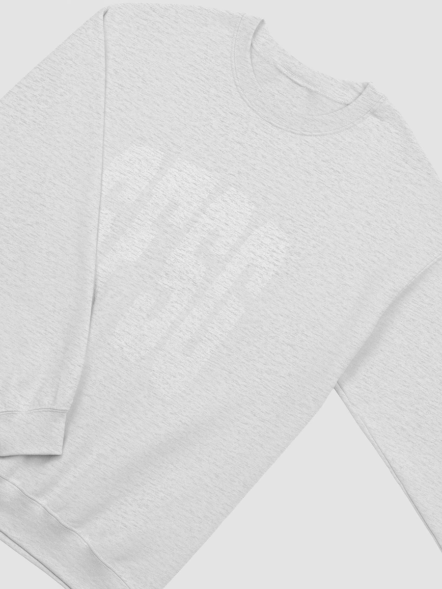 SFSG Sweatshirt product image (7)