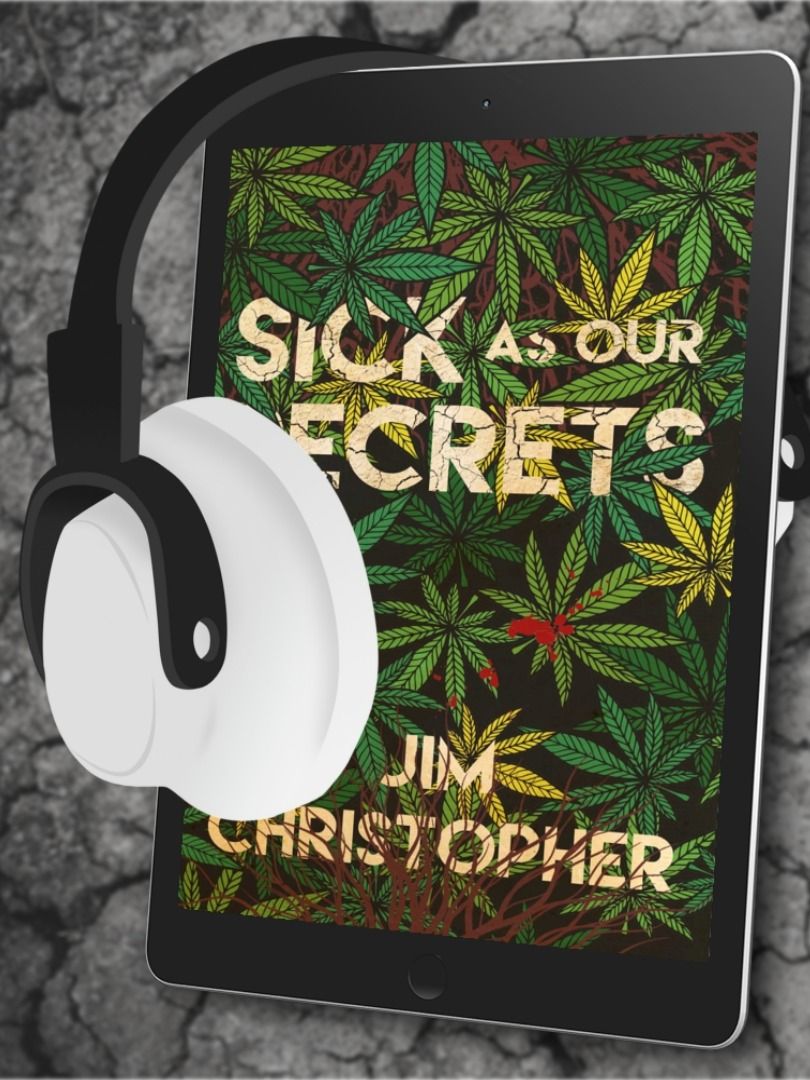 Sick as our Secrets audiobook product image (1)