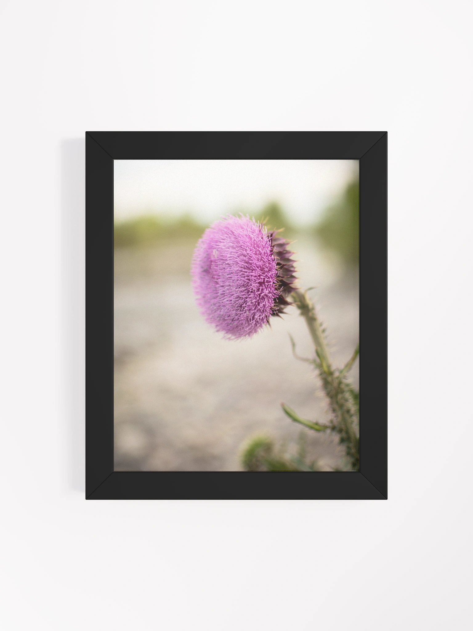 Flower - Blackfoot, Idaho product image (10)