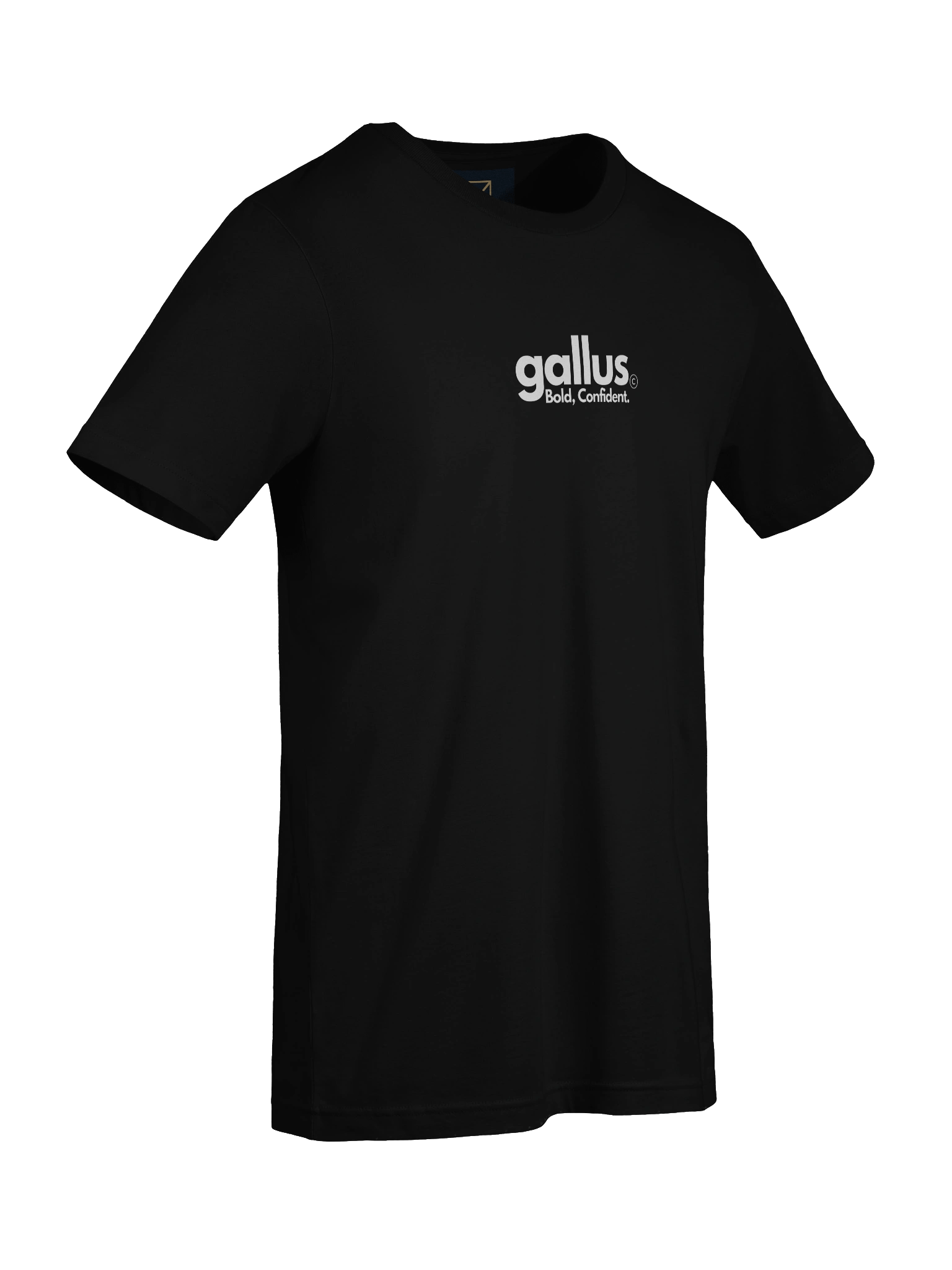 Gallus Scotland Back Print Tee product image (9)