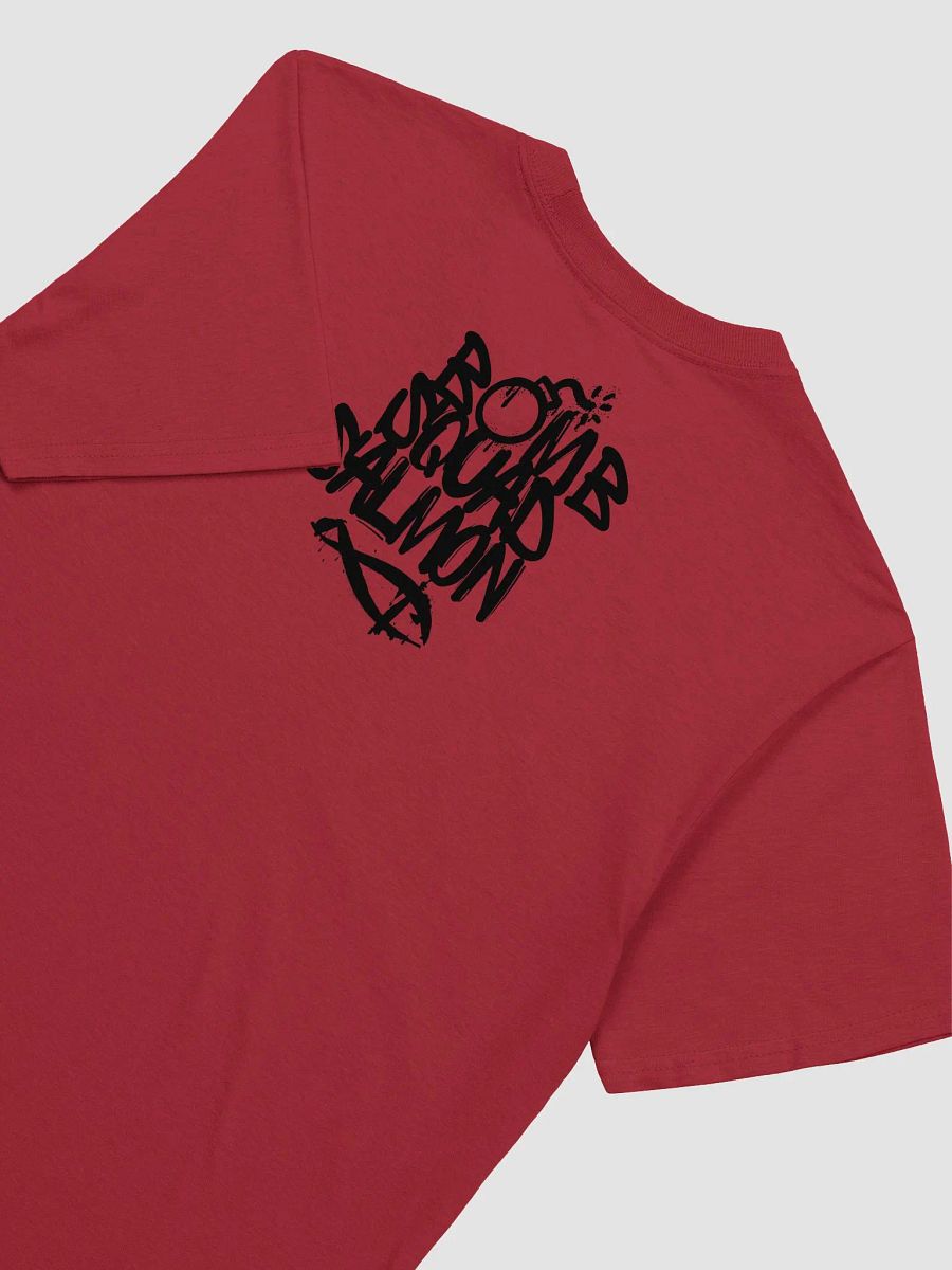 Salmon Punk product image (4)