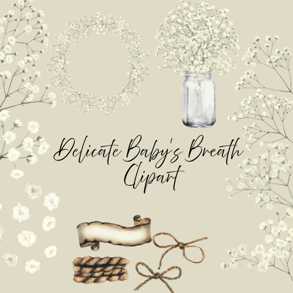 Delicate Baby's Breath Clipart Collection - Elegant Floral Graphics product image (1)