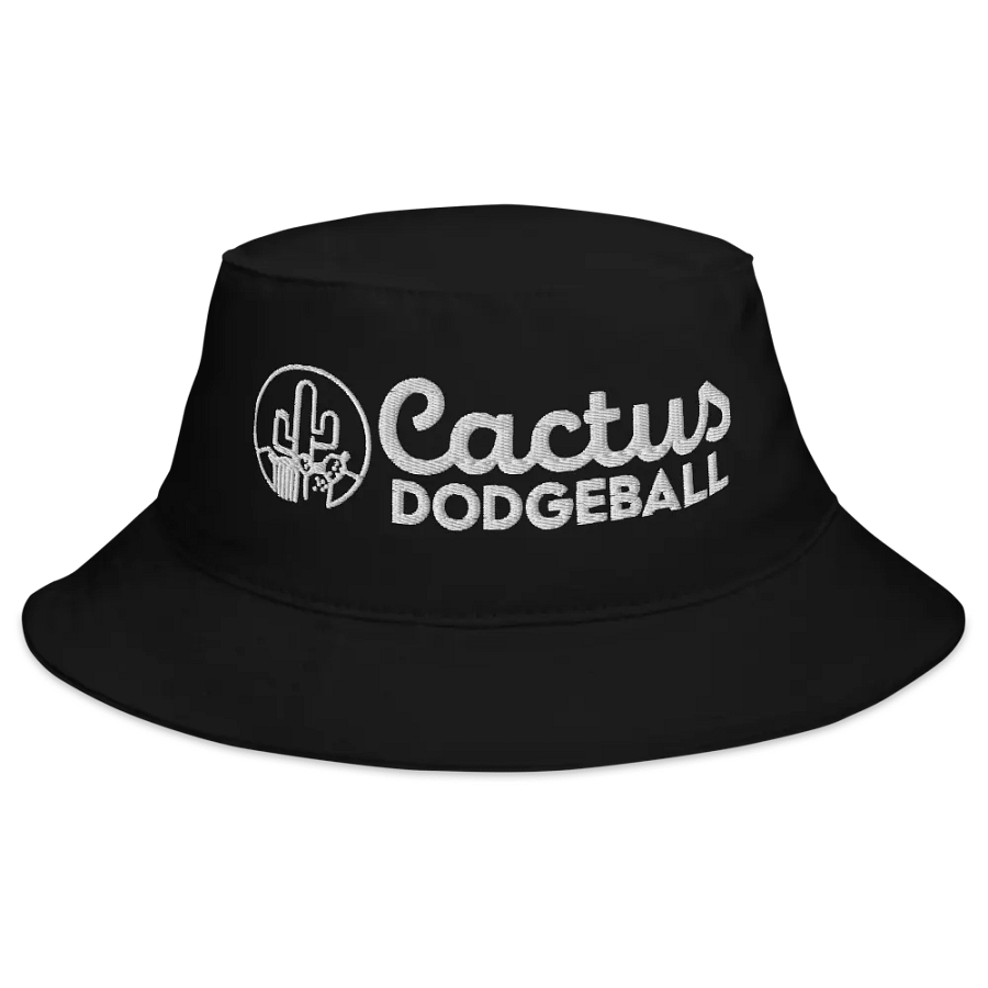 Cactus Dodgeball 