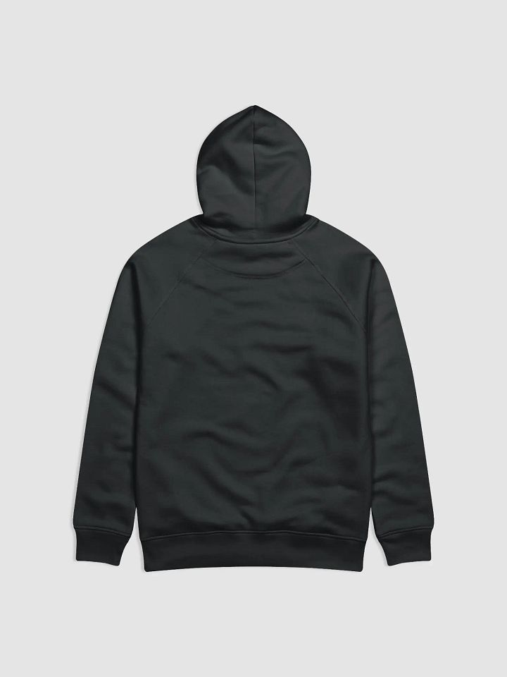 Fiddle Xray Hoodie product image (2)