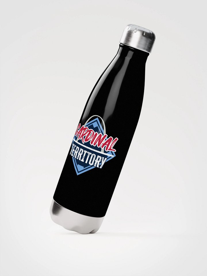 Stainless Steel Water Bottle product image (2)