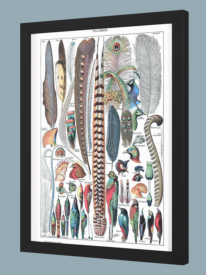 Types de plumes Larousse pour tous 1907–1910 product image (2)