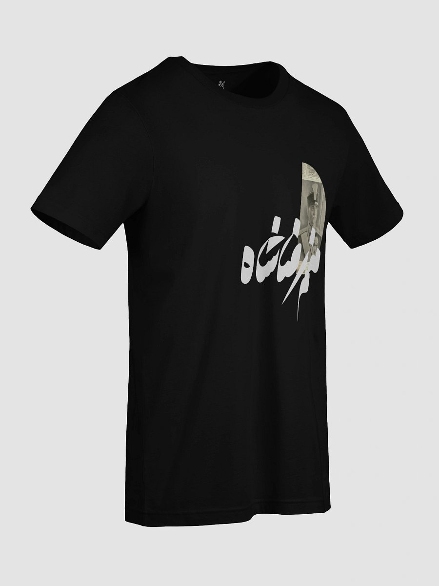 Manam Reza Shah product image (9)
