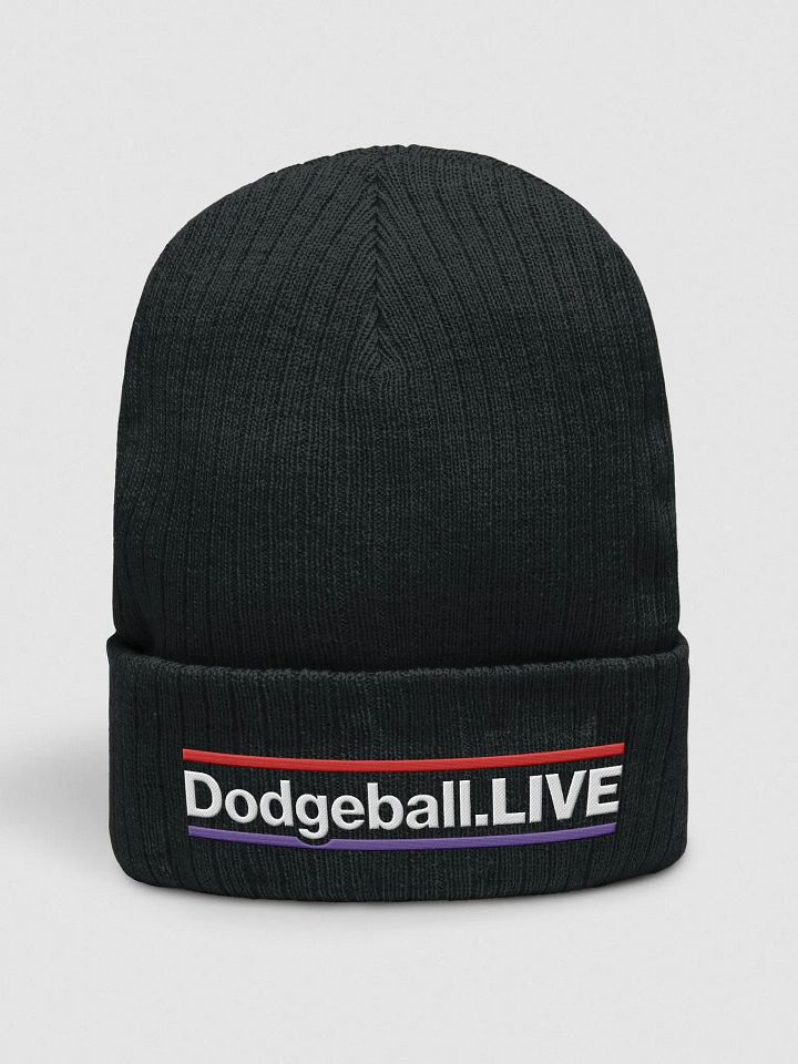 Dodgeball.LIVE HZ Knitted Toque (Light) product image (1)