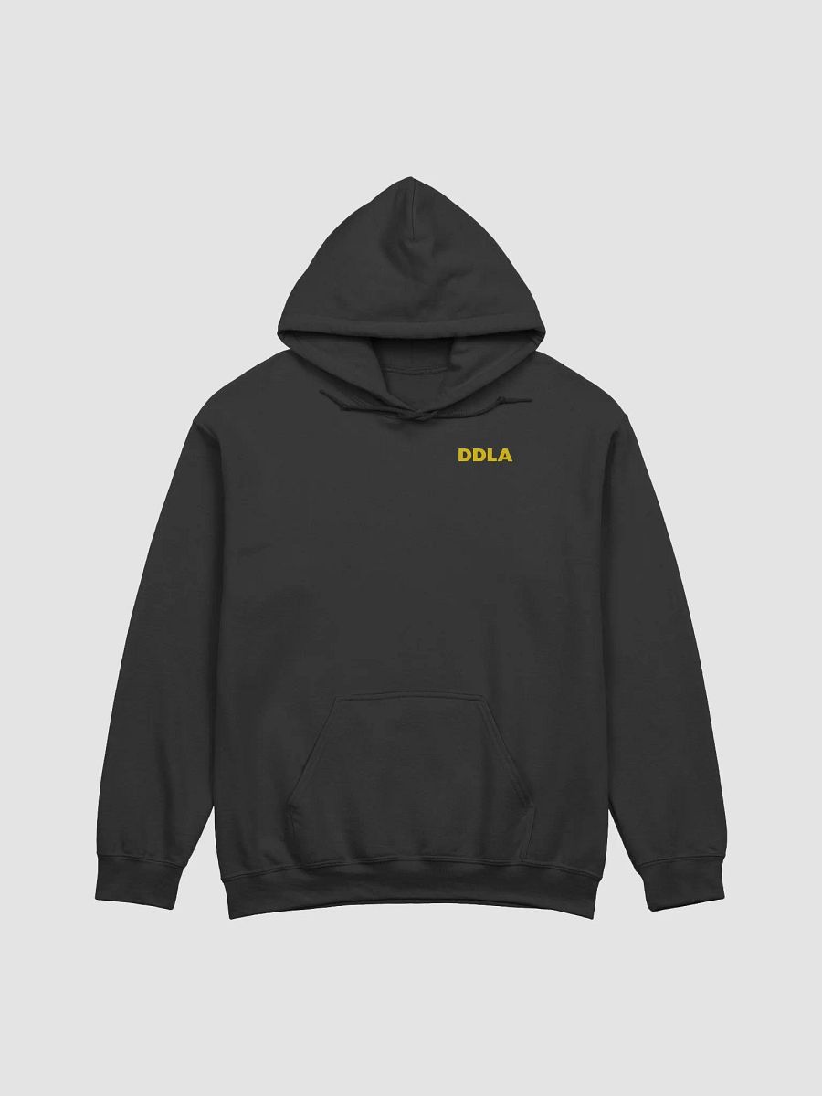 DDLA HOODIE product image (2)