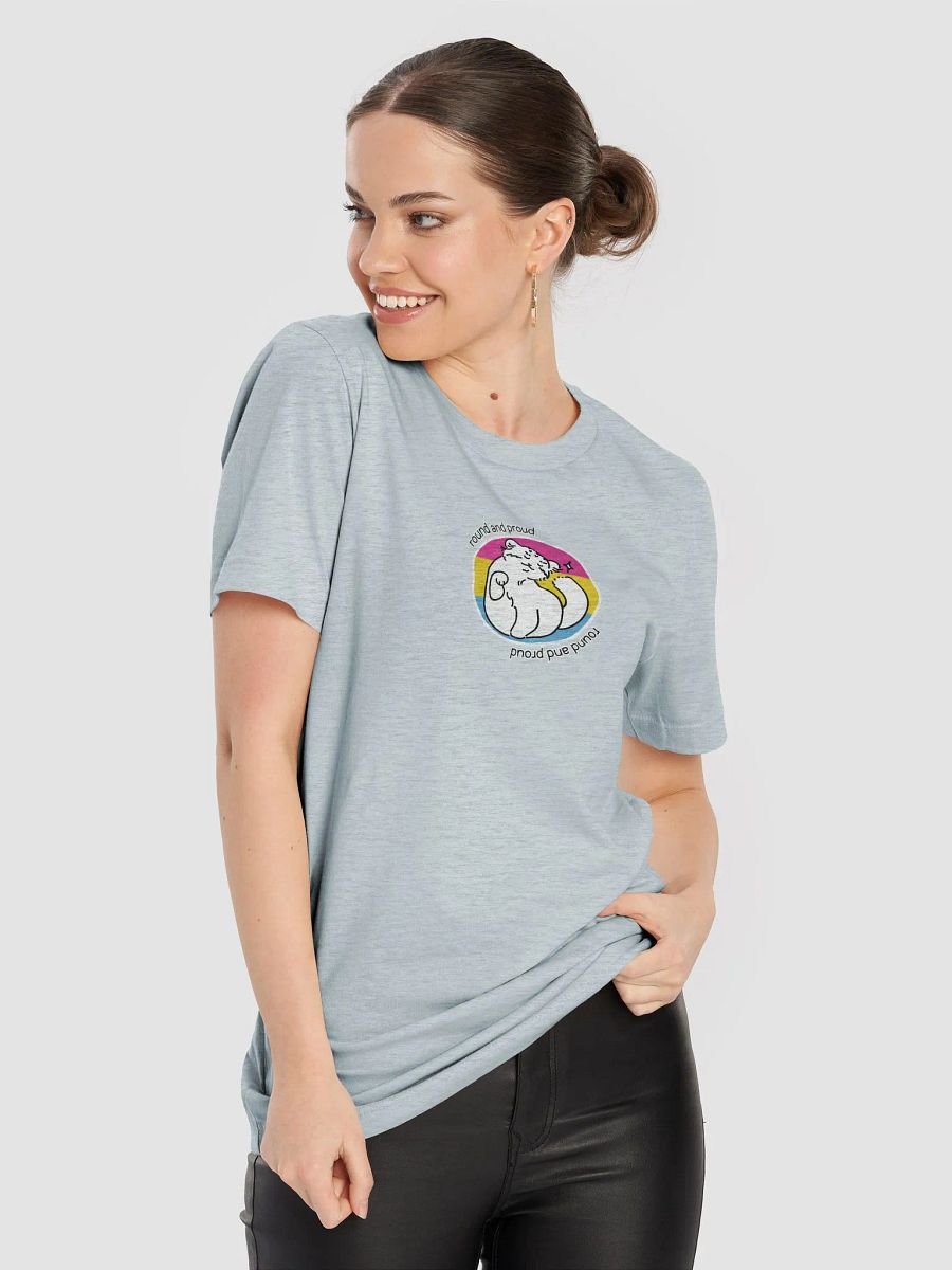 Round and Proud Manul Pansexual Version - Bella+Canvas Unisex T-Shirt product image (86)