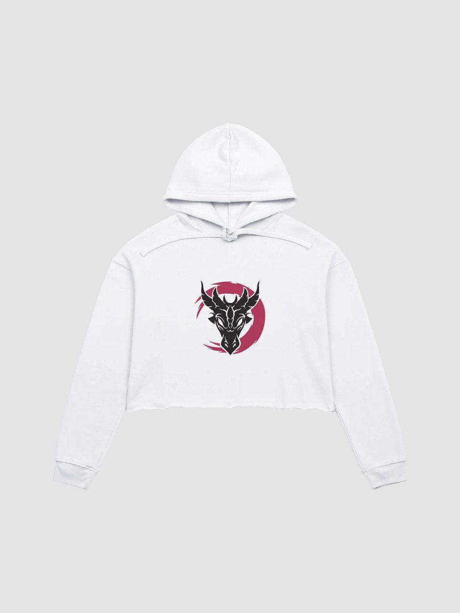 Crop Hoodie - Aerinda product image (29)