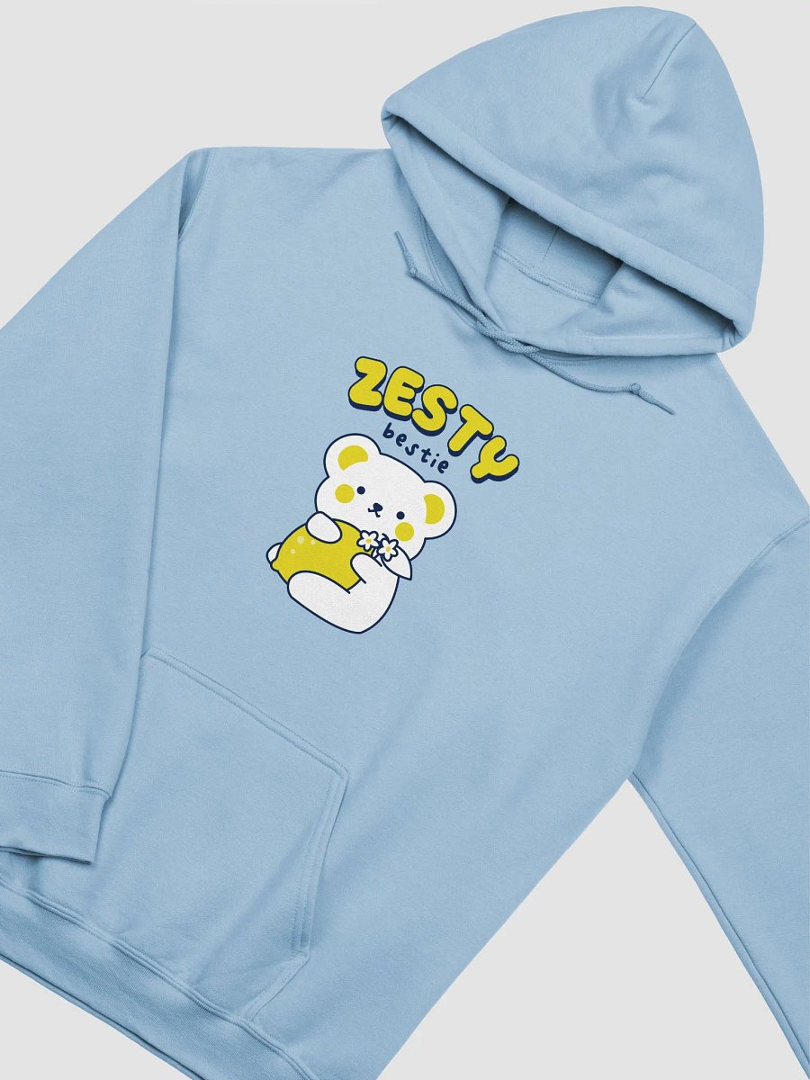 Zesty Bestie Hoodie (Minimal) product image (5)