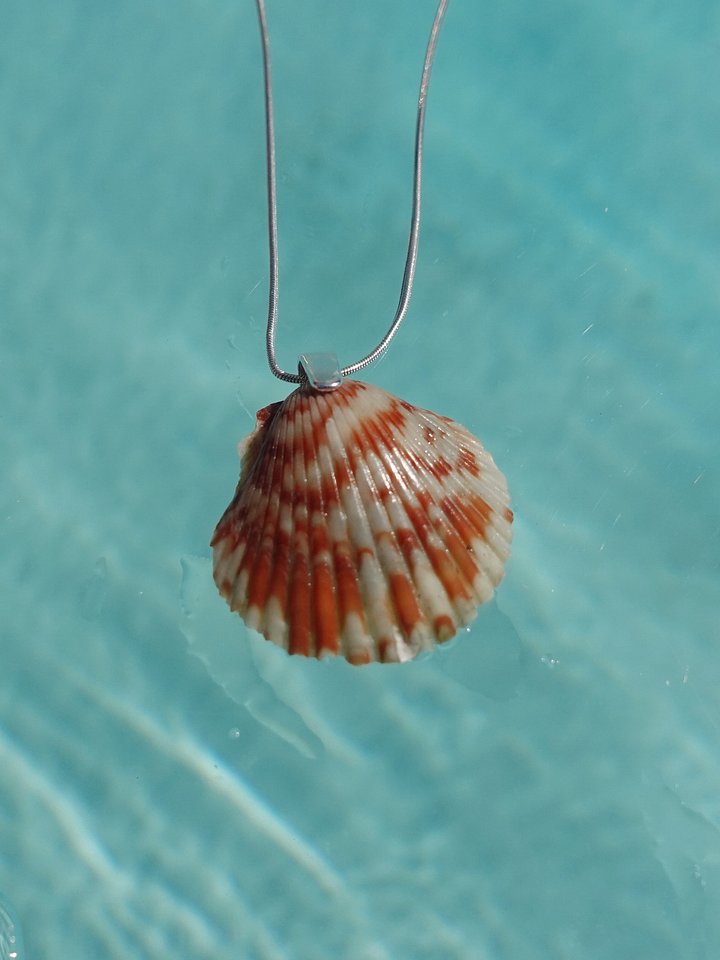 Mermaid Wish Necklace ~ 1 product image (1)