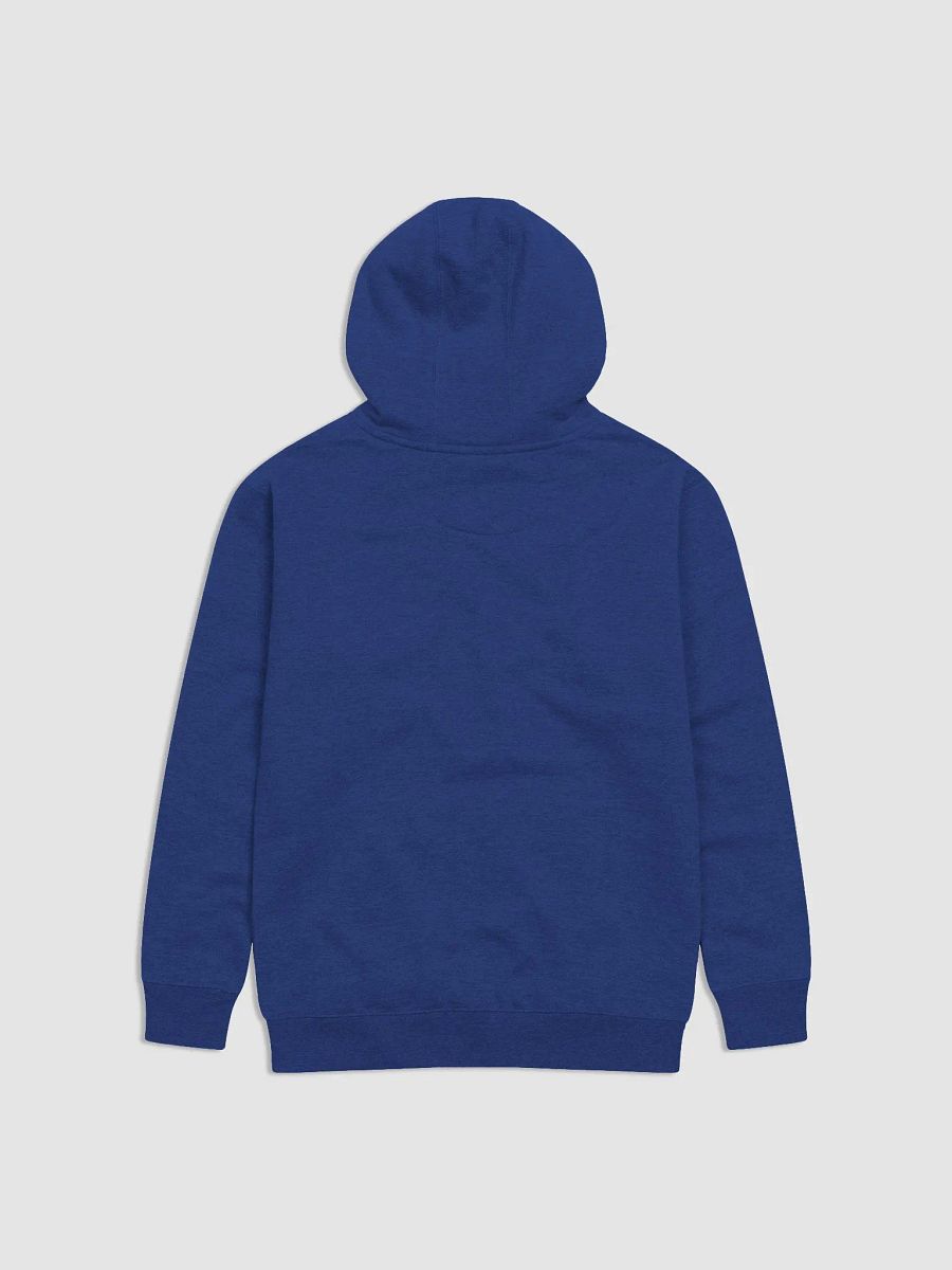 *SIGHS IN GAY* Hoodie product image (8)