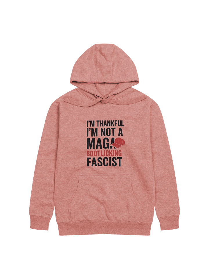 Not a Maga Bootlicking Fascist Hoodie product image (2)