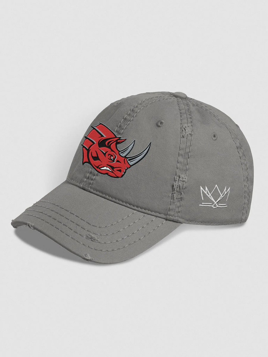 Grand Rapids Rampage Distressed Dat Hat product image (6)