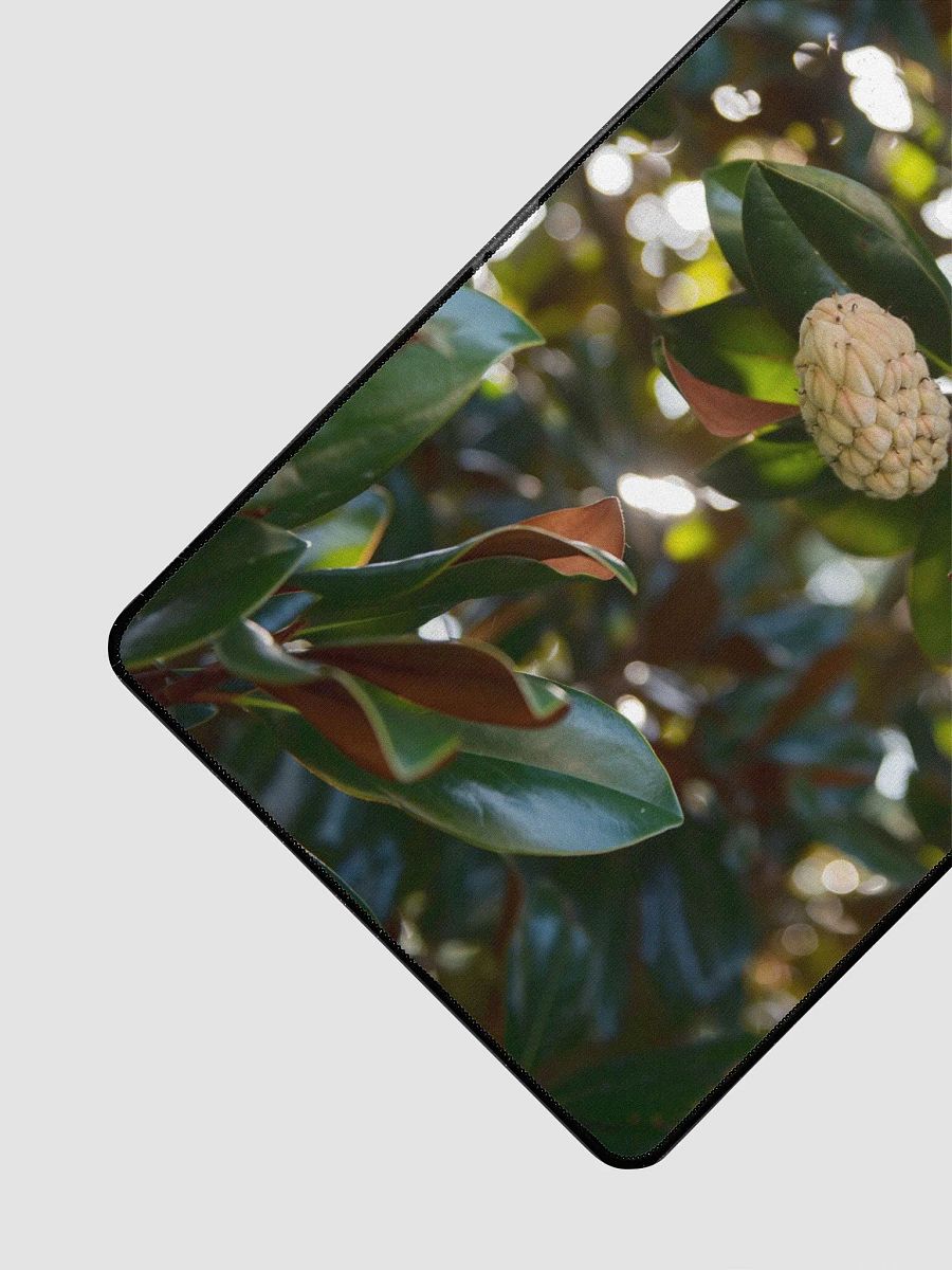 Desk Mat L2 - Southern Louisiana Series product image (2)
