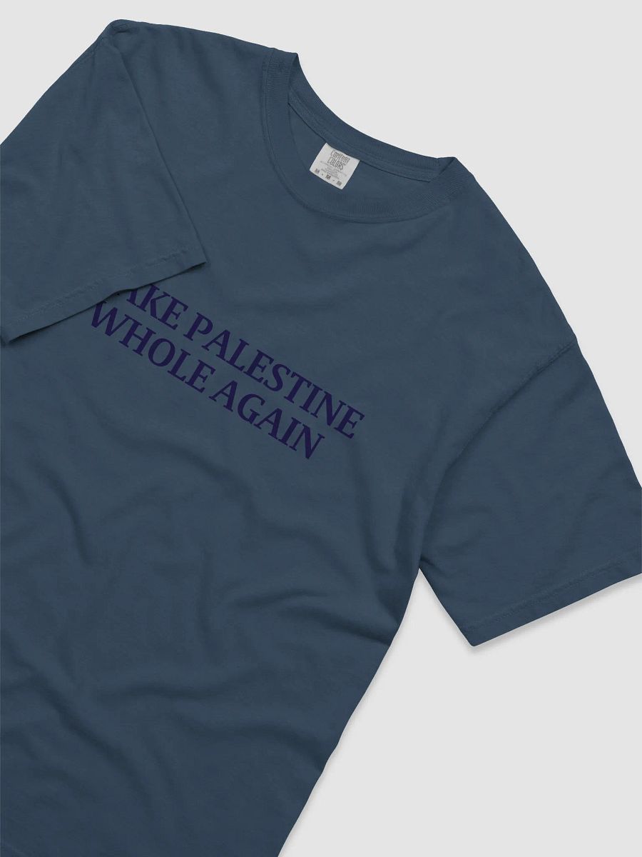 Make Palestine Whole Again Tshirt product image (21)