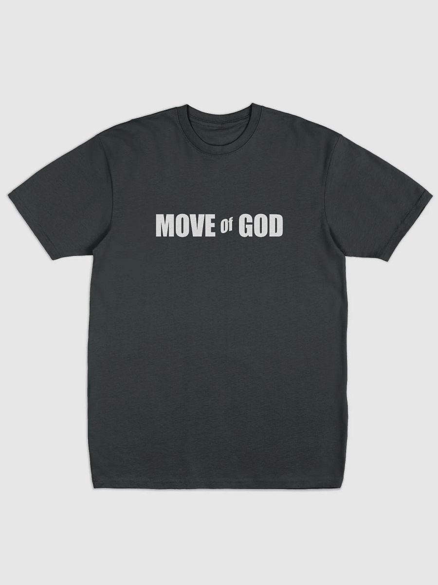 T-Shirt product image (11)