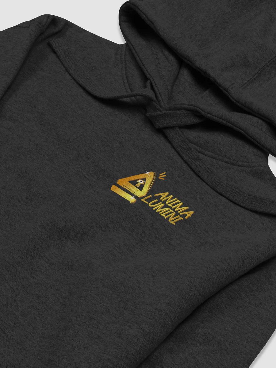 Anima Alumini Hoodie! product image (3)