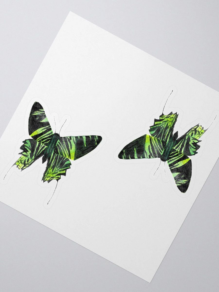 Green Banded Urania Moth product image (2)