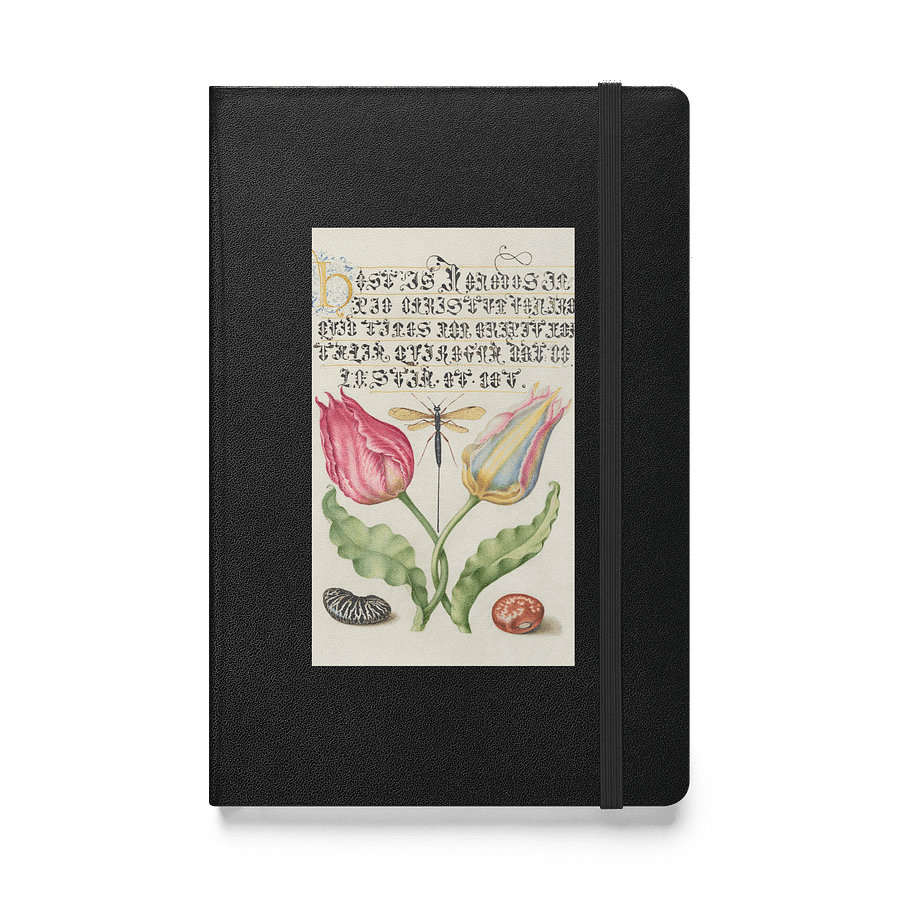 Dragonfly Dreams. Hardcover Notebook product image (1)