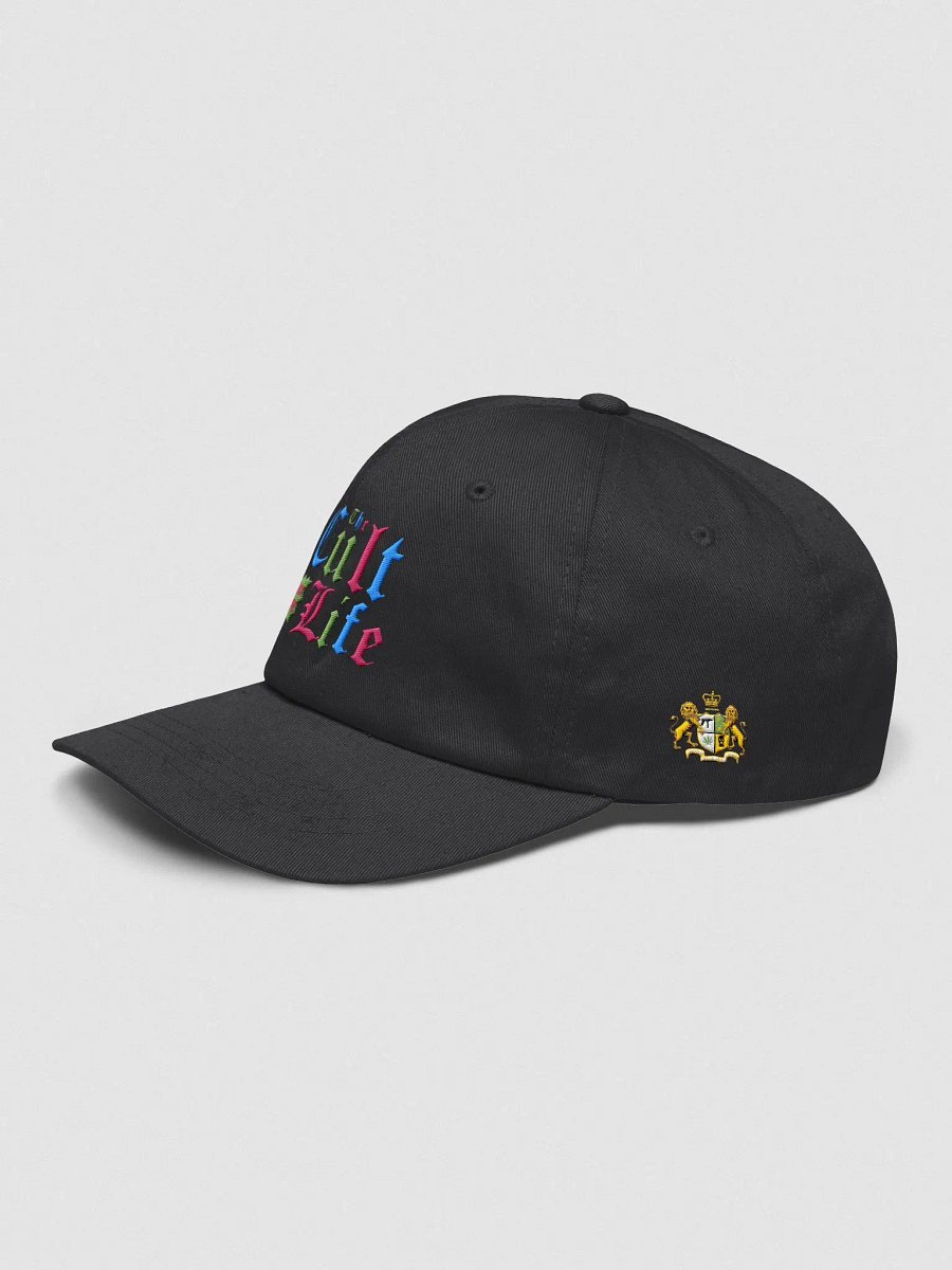 CULT LIFE COLORS HAT LIMITED EDITION product image (3)