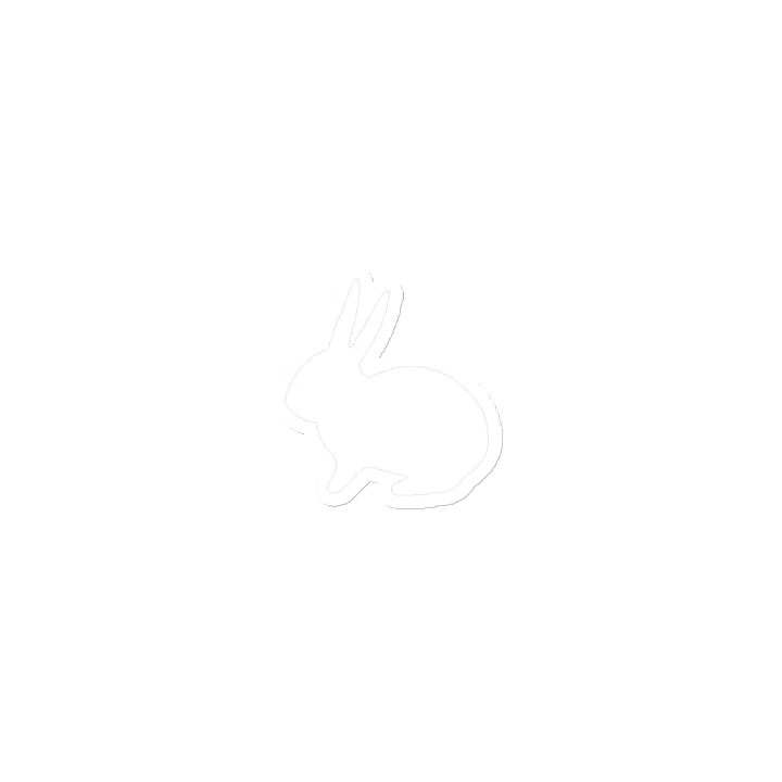 BunMagnent product image (1)