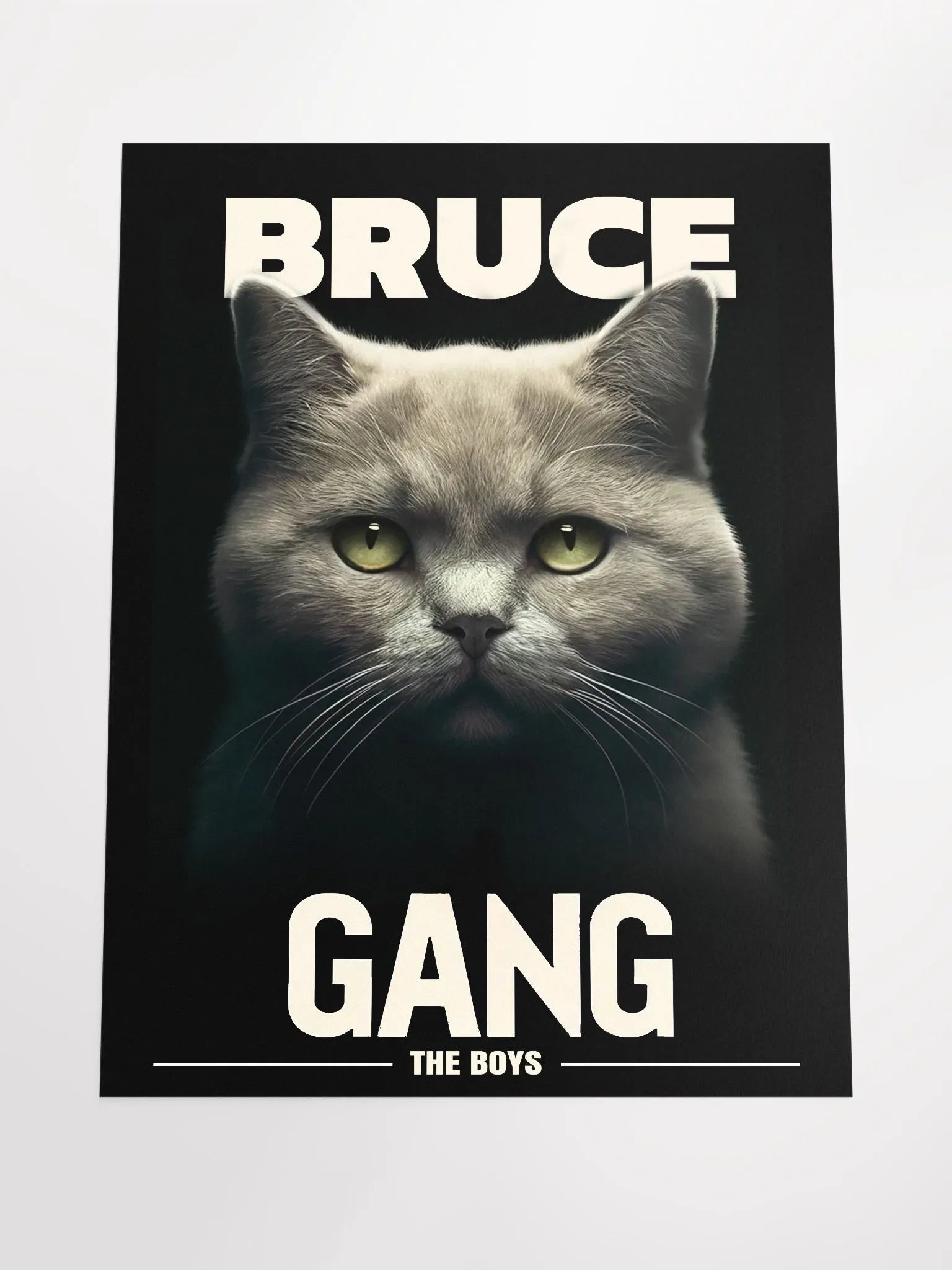 BRUCE GANG POSTER (18