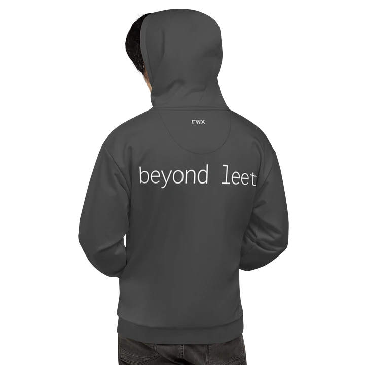 1338, beyond leet hoodie (darker grayscale mode) product image (1)