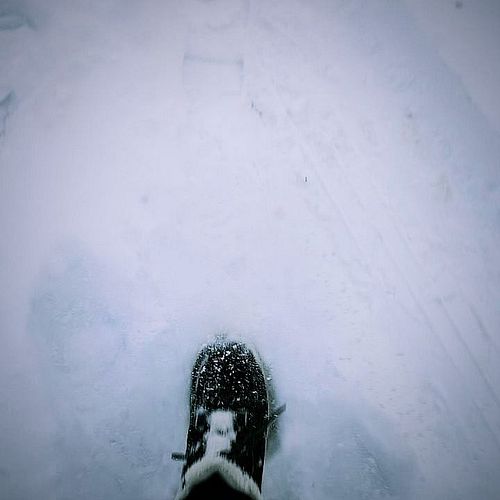 ❄️❄️❄️
