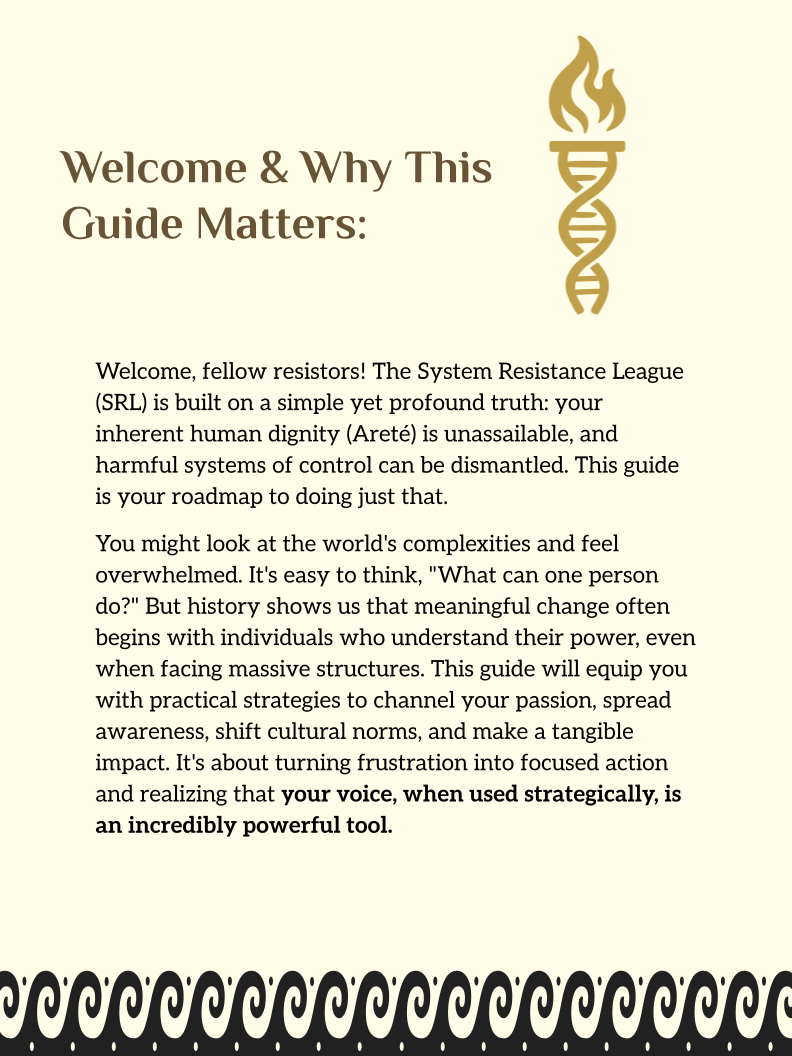 The SRL Guide to Effective Advocacy product image (2)