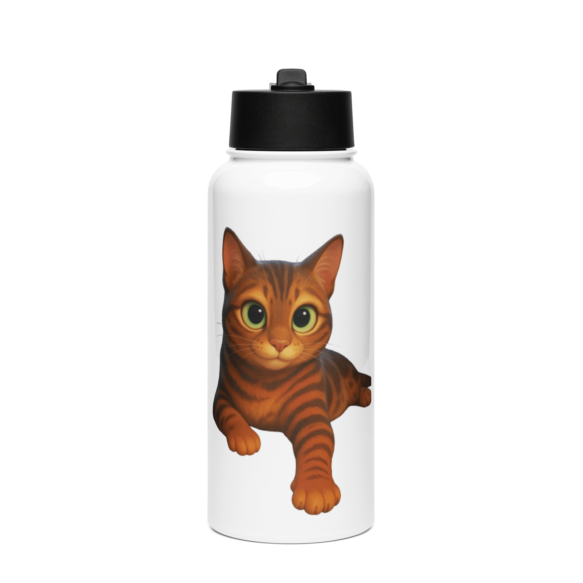 Dior'sCat - Stainless Steel Water Bottle with a Straw Lid product image (1)