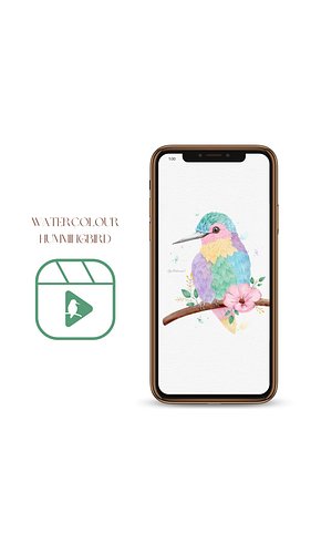 Watercolour Hummingbird Timelapse🐦

A speed timelapse of my illustration of a Hummingbird for the Watercolor Painting Academy...