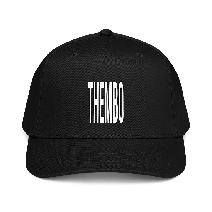 THEMBO Black Baseball Snapback Cap product image (1)