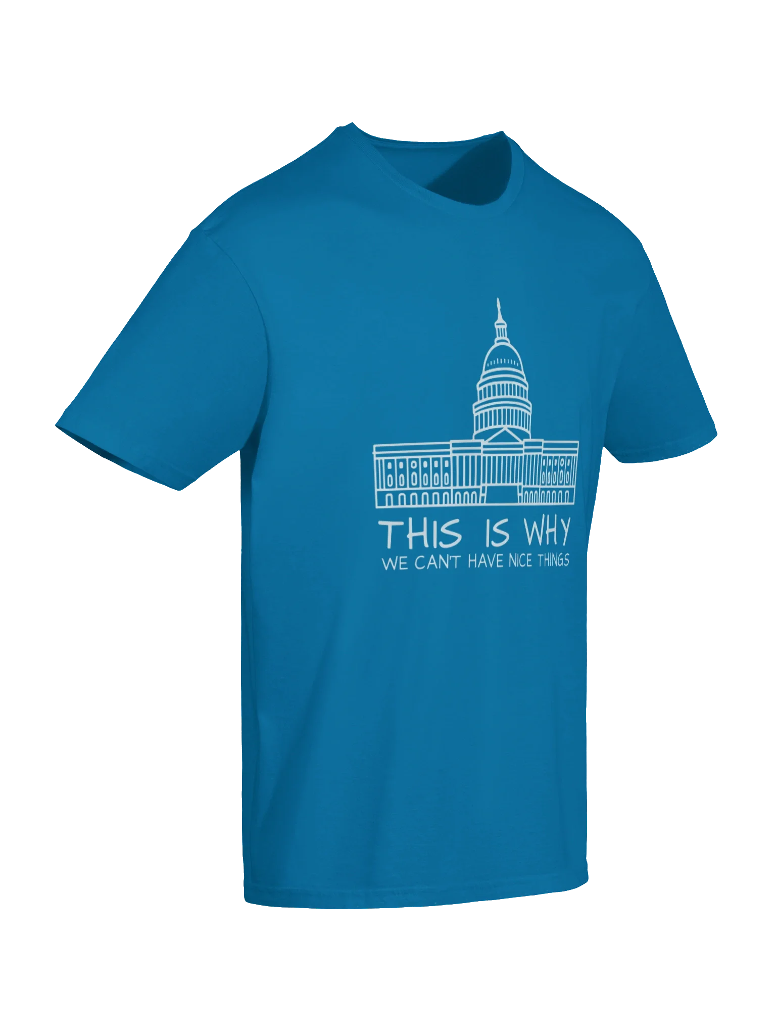 This Is Why We Can’t Have Nice Things T-Shirt product image (7)