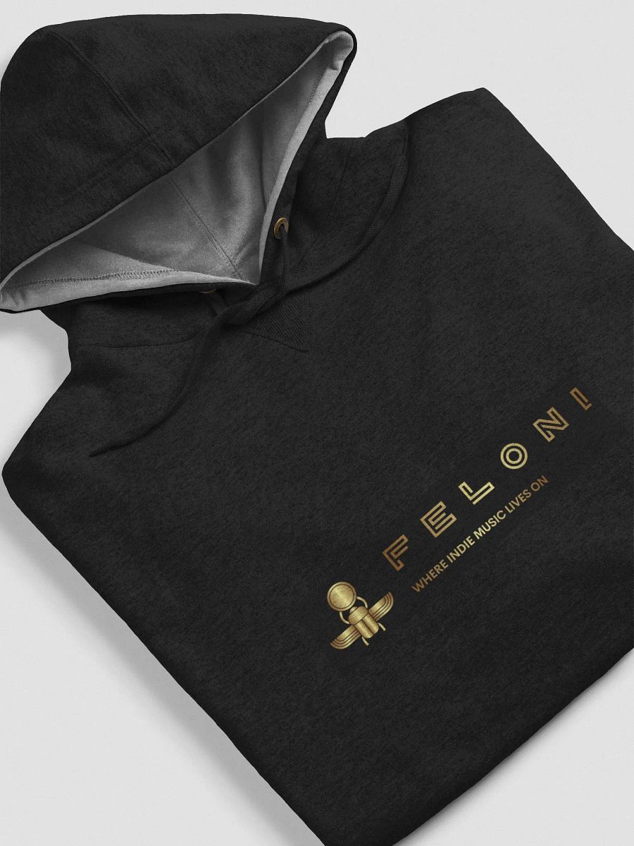FELONI HOODIE product image (6)