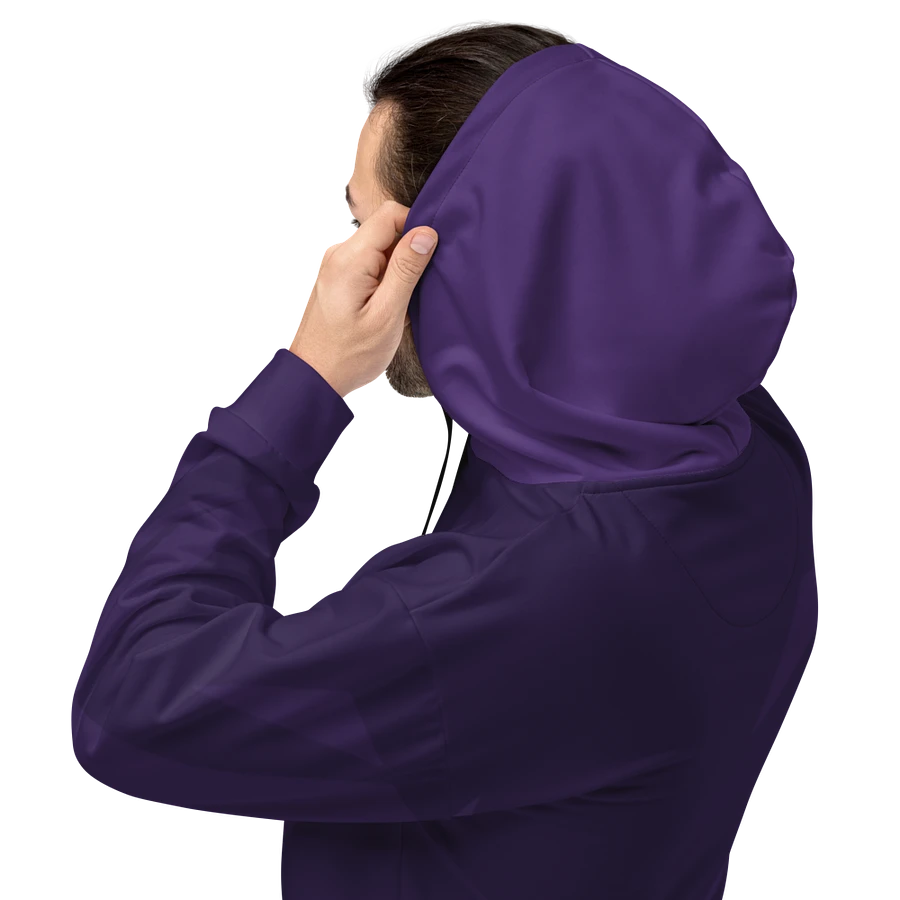 Fireside Low Profile Hoodie product image (4)
