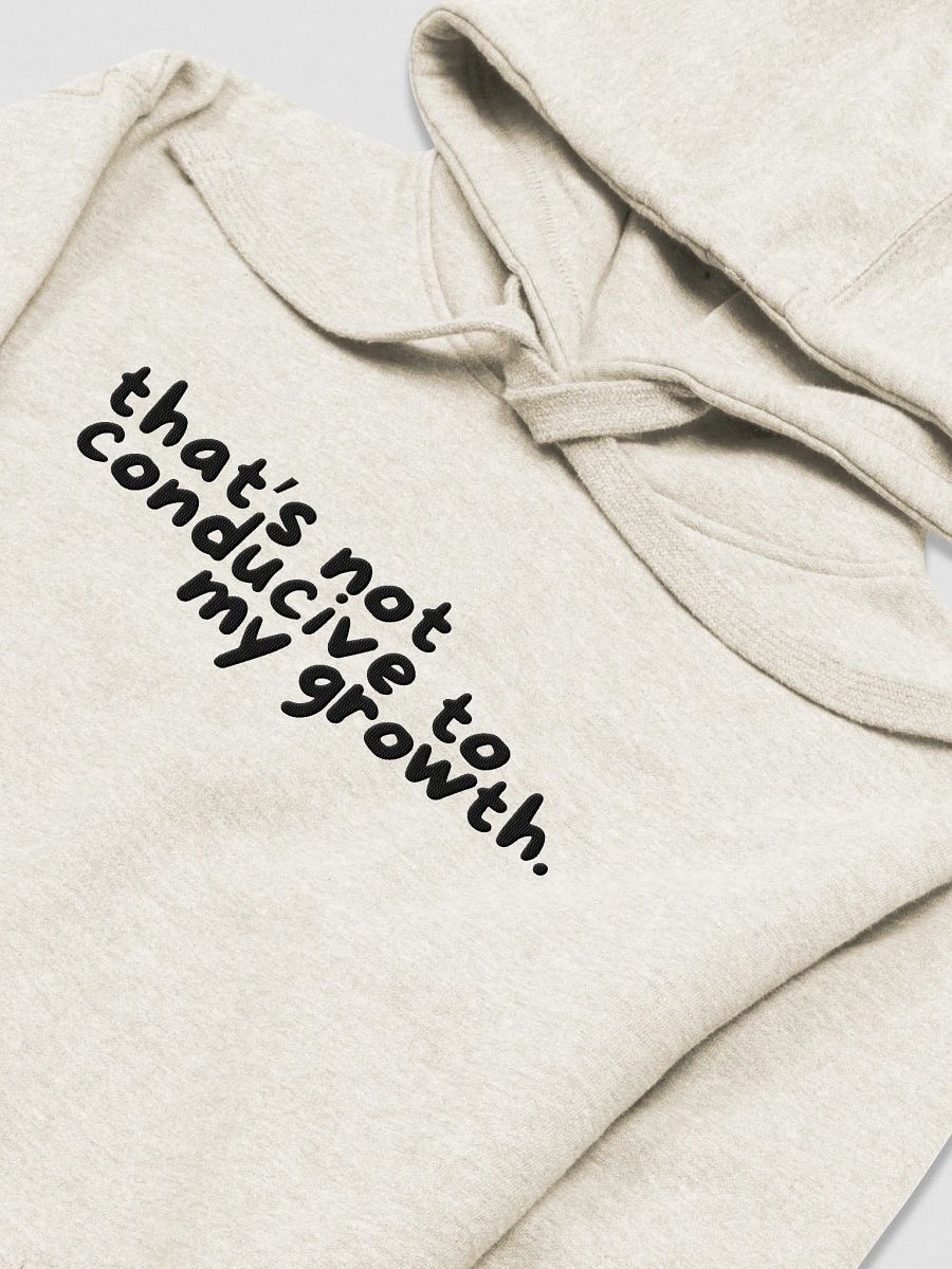 Conducive Hoodie (Embroidered) product image (6)