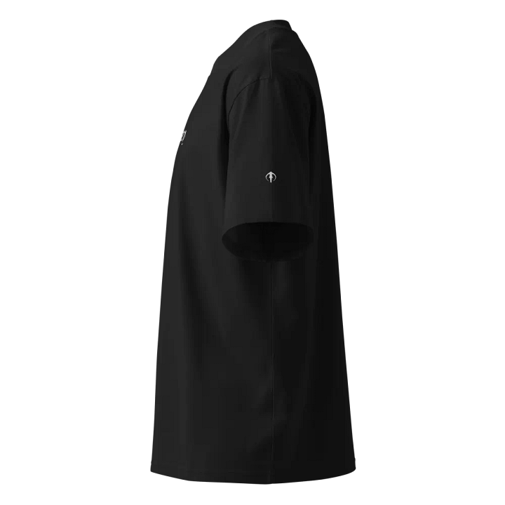 Odyssey Oversized T-Shirt product image (4)