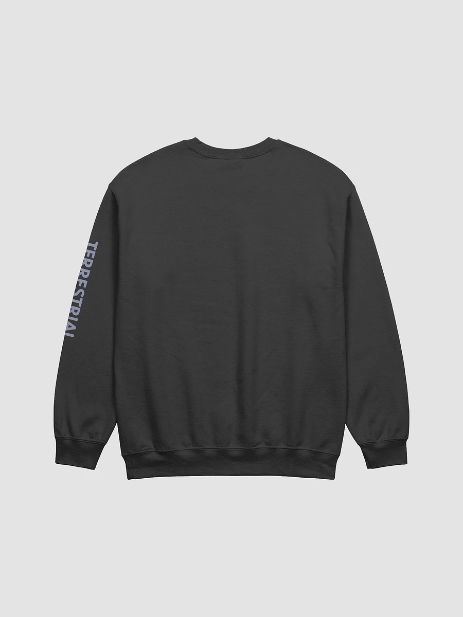 LIMITED EDITION - Bloom With Kindness Crewneck product image (5)