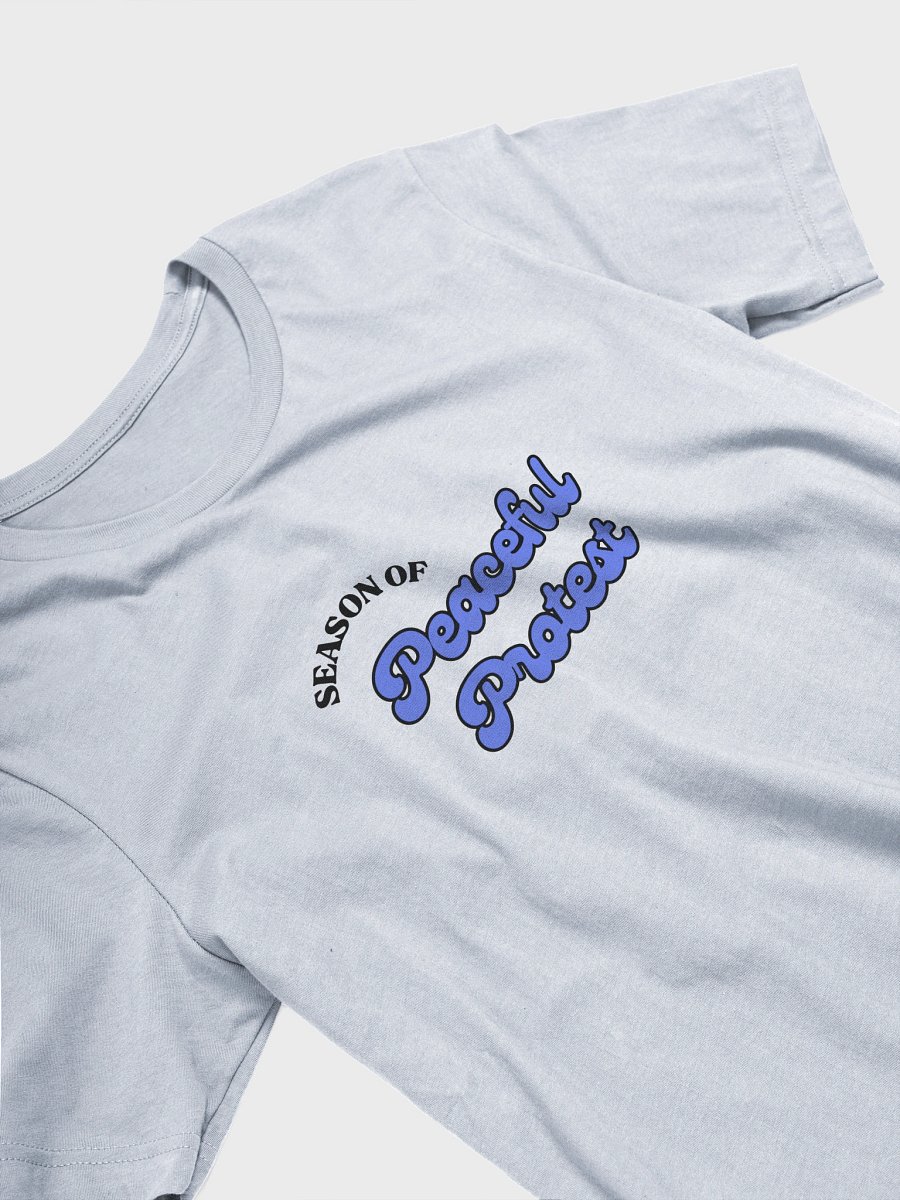 TMTS Season of Peaceful Protest product image (24)
