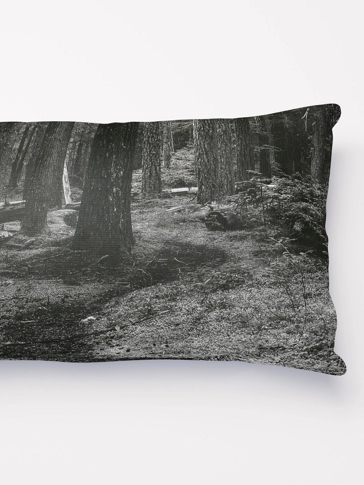 Hiking in the Buckhorn Wilderness Pillow product image (2)