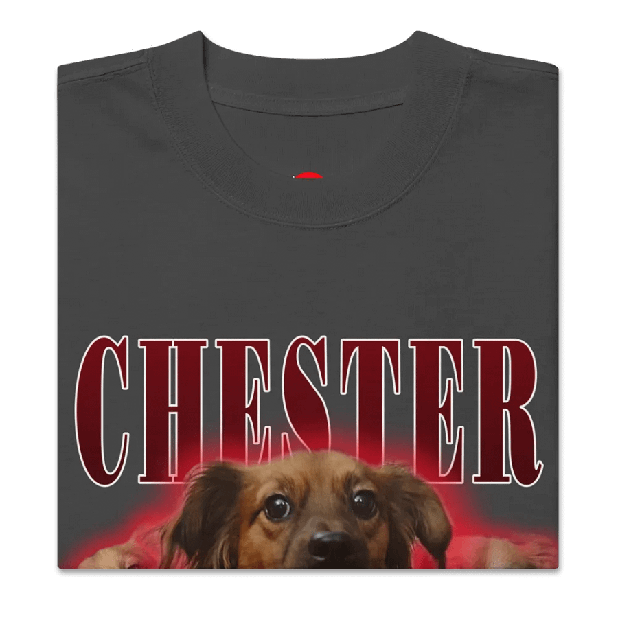 Chester Hip Hop Premium Oversized Faded T-Shirt product image (2)