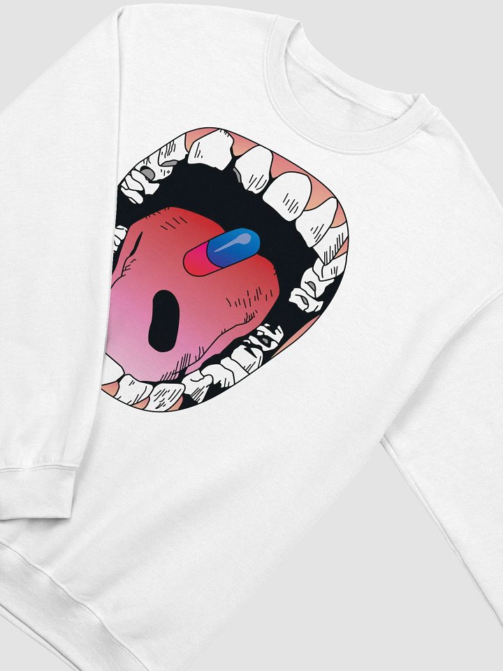 tastelikecandy V4 swtshrt product image (20)