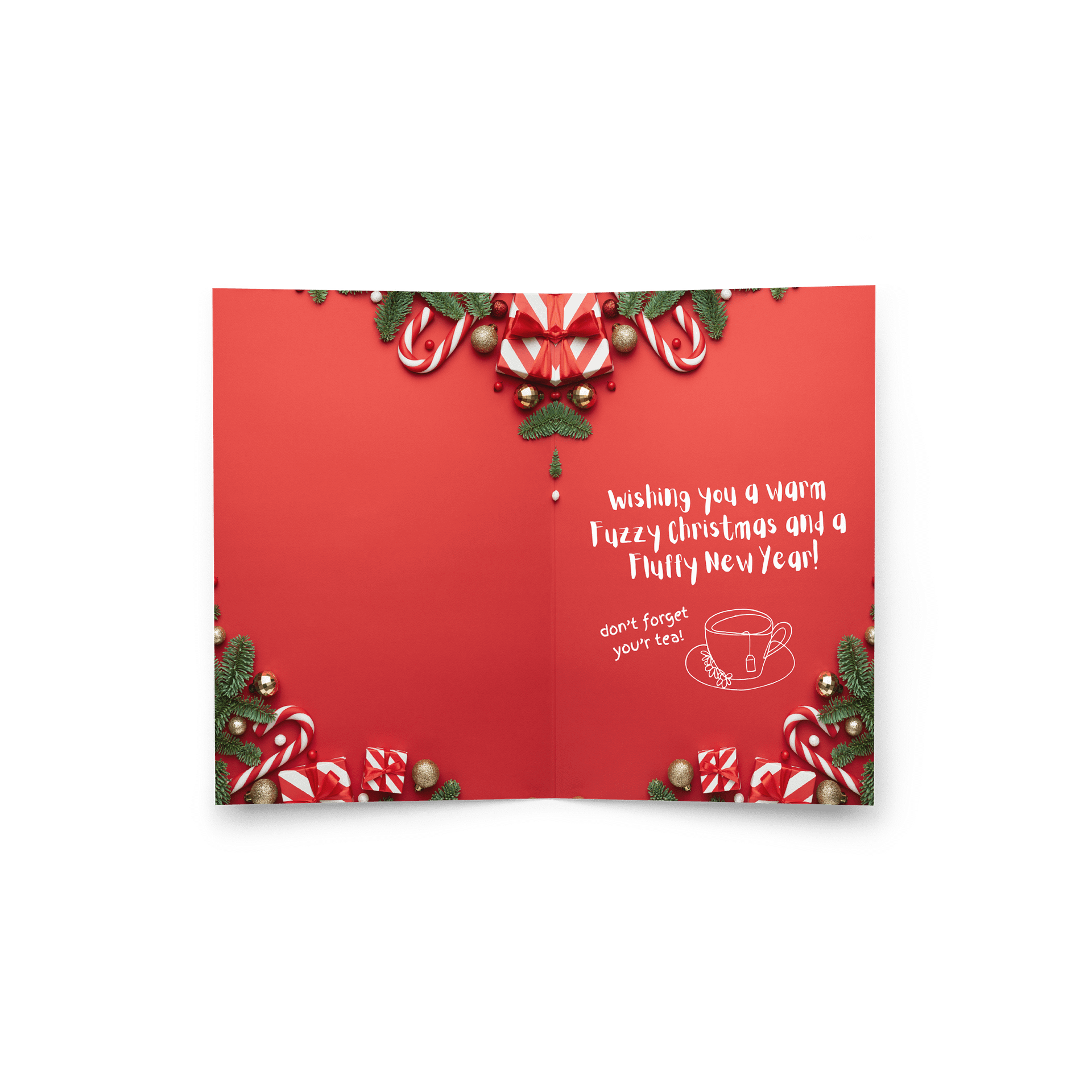 Open Present Physalia Christmas Card 2025 product image (7)